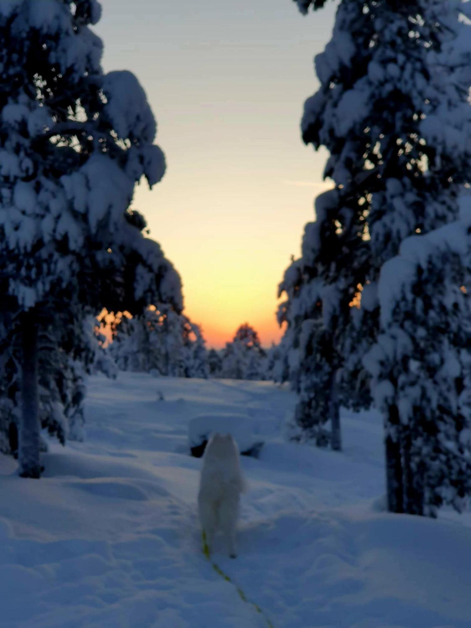 Make Yourself At Home Rovaniemi Extérieur photo